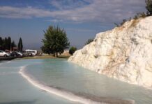 Kültür ve Sanatta Canlanış