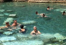 Fatih Sultan Mehmed ve Avrupa Resmine Olan İlgisi