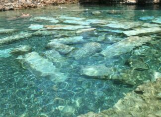 Fatih Sultan Mehmed ve Venedik Sanatçılarıyla Kültürel Etkileşim