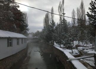 Diasparagmos Nebris ve Dans