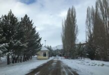 “Nebris” ve “Postnişin”