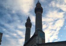 Biyolojik Çeşitliliğin Tanımı